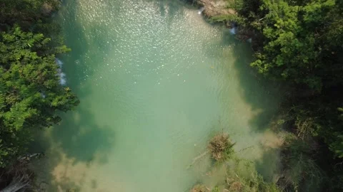 Lakes in the forest 스톡 동영상 332505228