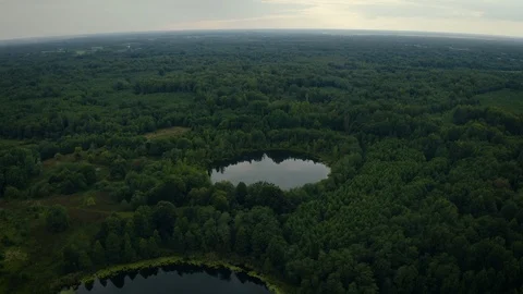 Lakes with growing forest, reflection of sky and clouds in the water Video stock 115523422