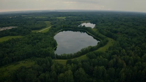 Lakes with growing forest, reflection of sky and clouds in the water Video stock 115524585