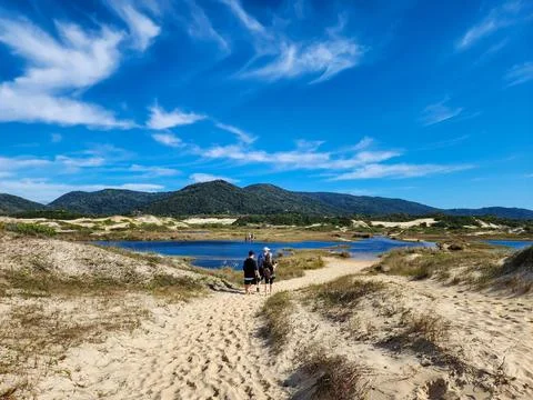 Lakes in the middle of the dunes Stock Photos