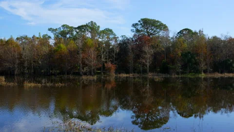 LAKESCAPE Video stock 230052902