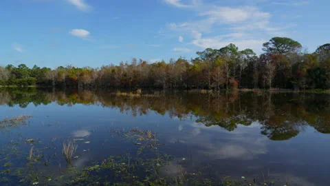 LAKESCAPE LONG SHOT Stock Footage 230053083