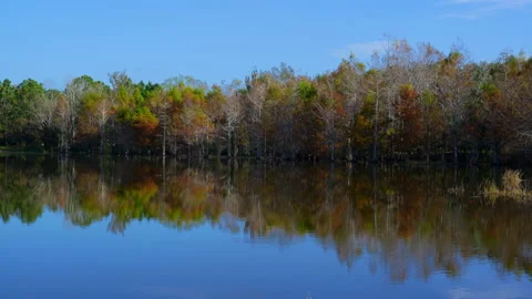 LAKESCAPE MEDIUM  SHOT Stock Footage 230052857