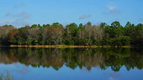 LAKESCAPE REFLECTION Video stock 230052976