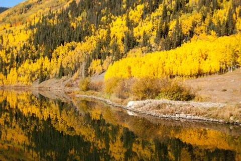 Lakesdie reflections Stock Photos