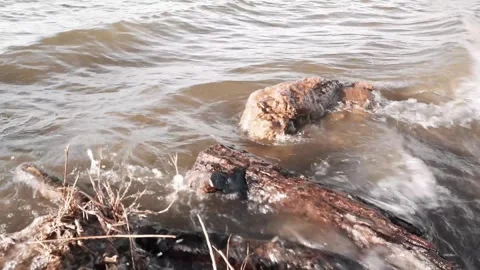 Lakeshore  1 Stock Footage 265755720