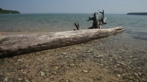 Lakeshore with driftwood 스톡 동영상 40578725