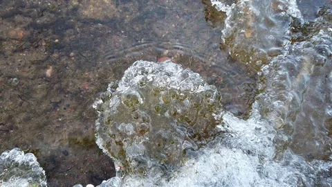Lakeshore with ice when the lake start freezing over, Finland Stock Footage 119362473