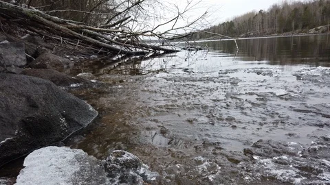 Lakeshore with ice when the lake start freezing over, Finland Stock Footage 119811222