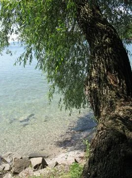 Lakeshore Stock-Fotos