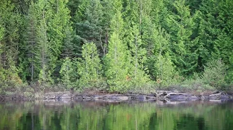 Lakeshore scenic mirror view while moving Stock Footage 51732974