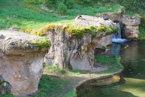 The lakeshore with a small waterfall Stock Photos