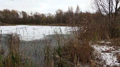 Lakeshore in winter Stock Footage 82358918