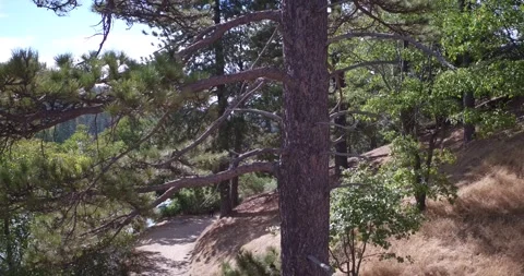 Lakeside 1 库存影片 279520543