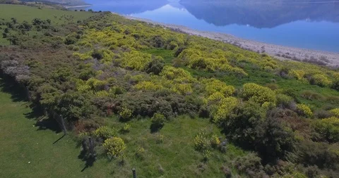 Lakeside beach along green fields and rocky mountains in background Stock Footage 119171558