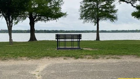 Lakeside Bench Framed by Trees and Pavement Stock Photos