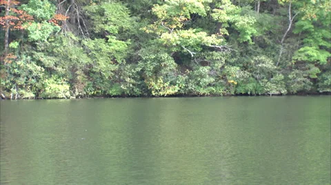 Lakeside Boat Ride 動画素材 33465086