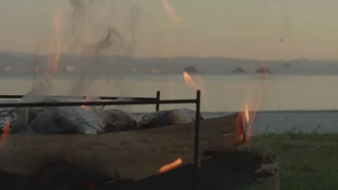 Lakeside Campfire Flames at Dusk and Seascape and Horizon Background 動画素材 270209010
