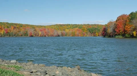 Lakeside during autumn Stock Footage 57399179