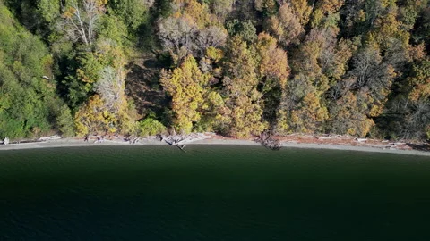 Lakeside Foliage in Early Fall Vidéo 283433485