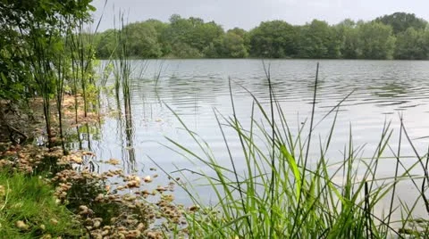 Lakeside Video stock 11122290