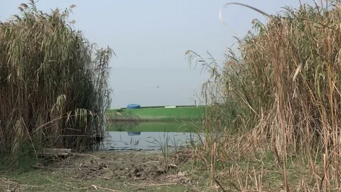 Lakeside Stock Footage 119072566