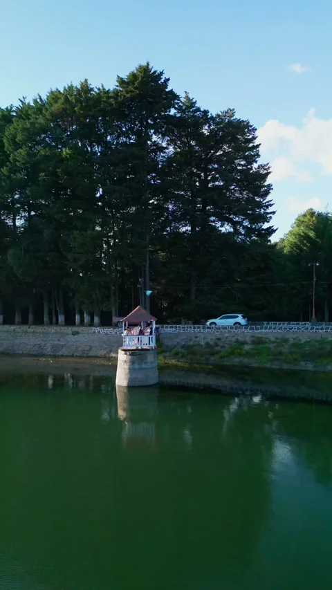 Lakeside gazebo framed by tall pine trees with the water reflecting the Stock Footage 346014691