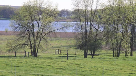 Lakeside Green Lake 動画素材 22824741