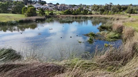 Lakeside living Stock Footage 284335462