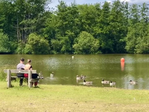 Lakeside Lovers Stock Footage 277767115