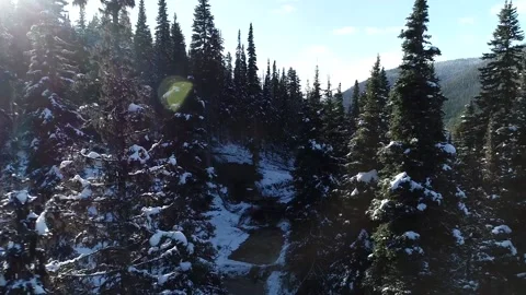 Lakeside Mine in the Forest on a mountain Drone Shot Stock Footage 146612764