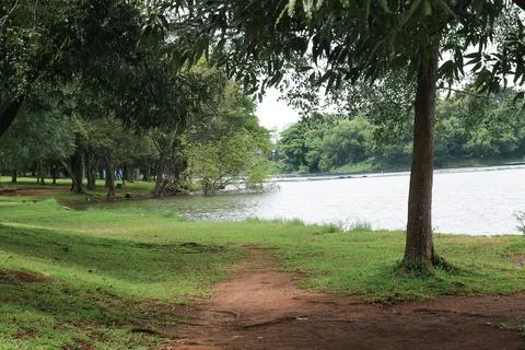 Lakeside Park Dirt Path Under Trees for Relaxing Outdoor Lifestyle Stock Photos