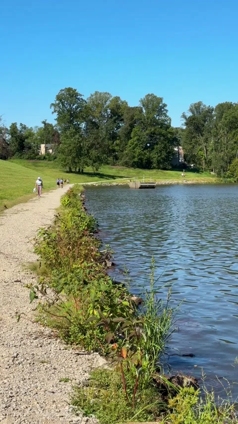 Lakeside Park Path with People Walking in Bright Natural Daylight Stock Footage 345457422
