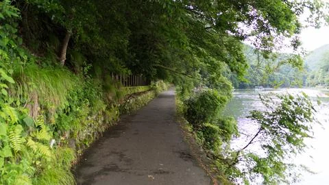 Lakeside path surrounded by lush greenery in Arashiyama, Japan Stock-Fotos