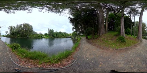 Lakeside Pathway Through Forest - VR360 360 Panoramic, New Zealand Stock Footage 331552737