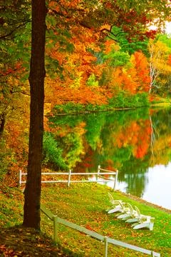 Lakeside Stock Photos