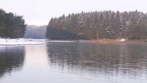 A lakeside pine forest Stock Footage 102280285