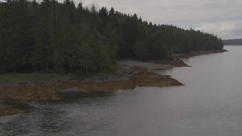 Lakeside pine trees in alaska with landscape of mountains in background drone Stock Footage 255318179