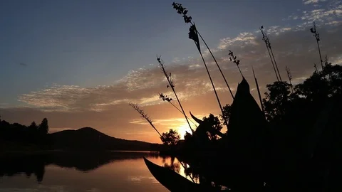 Lakeside plants with evening sunset background Video stock 122121200