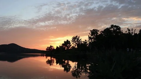 Lakeside plants with evening sunset background Video stock 122121202