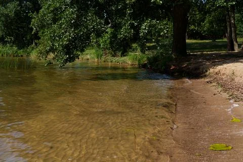 Lakeside with a sandy beach Stock-Fotos