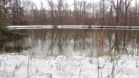 Lakeside on Snowy Day Vídeo Stock 234431049