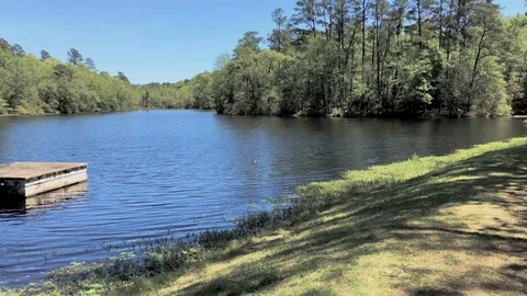 Lakeside sun at Pointsett State Park South Carolina. Stock Footage 89733178