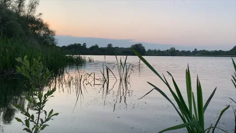 Lakeside at sunset. Stock-Footage 241612651