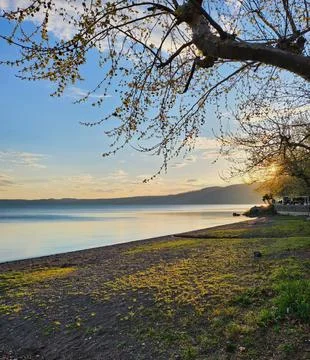 Lakeside Sunset with Tree Branches Stock Photos