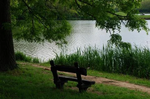 Lakeside tranquility Stock Photos