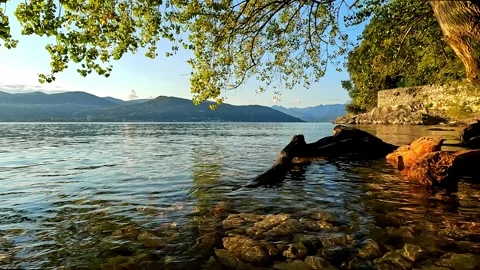 On the lakeside under the trees Stock Footage 303692000