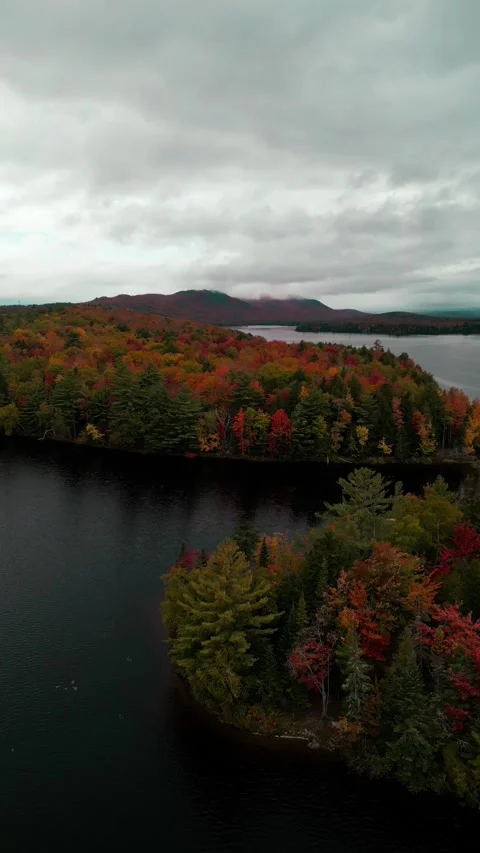 Lakeside view of Autumnal trees Stock Footage 253595141
