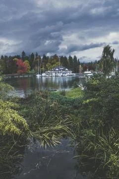 Lakeside view with fall colors Stock Photos