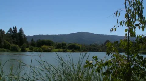Lakeside View Stock Footage 11882025